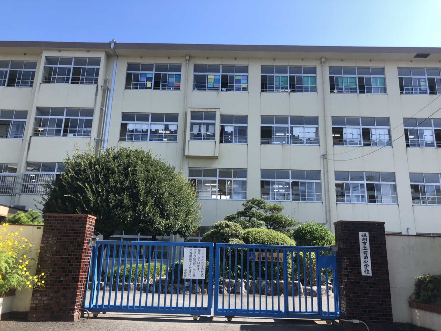 コモド次郎丸  有田小学校