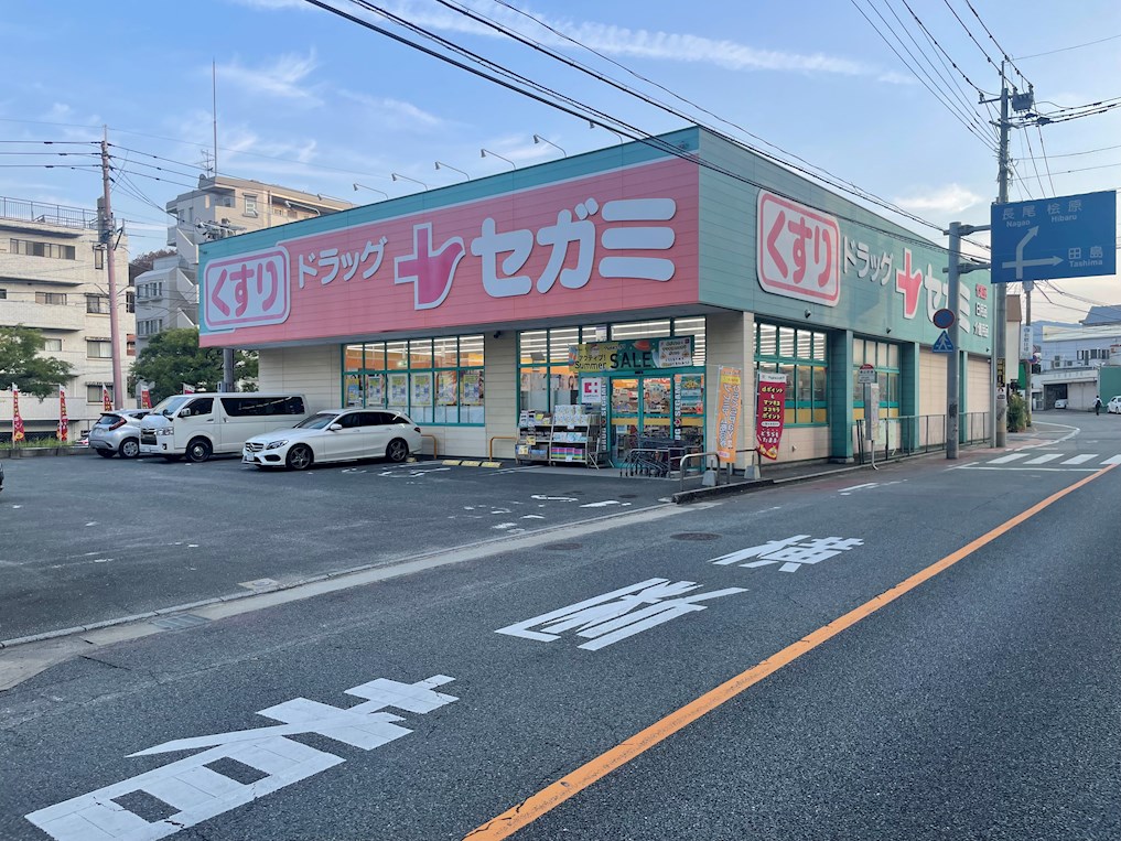 レフィナード南山荘 ﾄﾞﾗｯｸﾞｾｶﾞﾐ 平尾山荘通り店