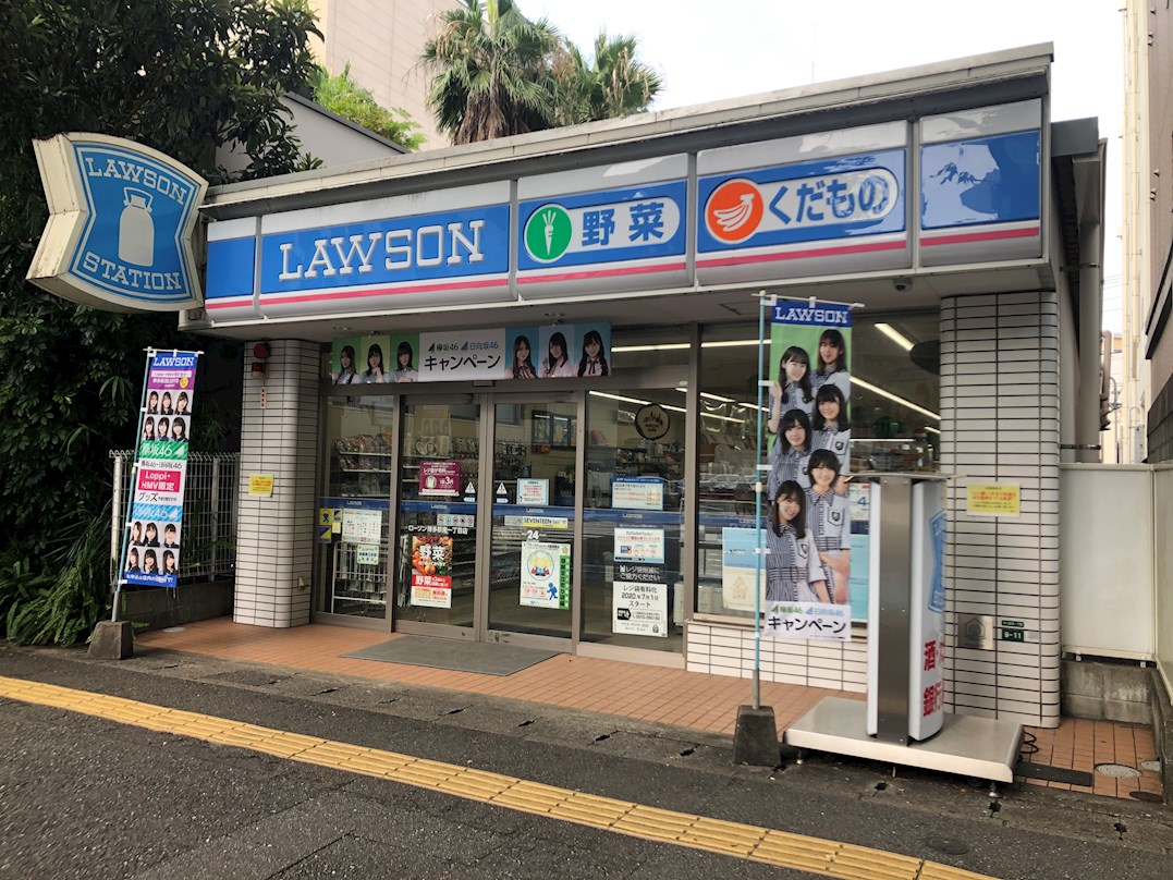 ネストピア博多シティ ﾛｰｿﾝ 博多駅南一丁目店