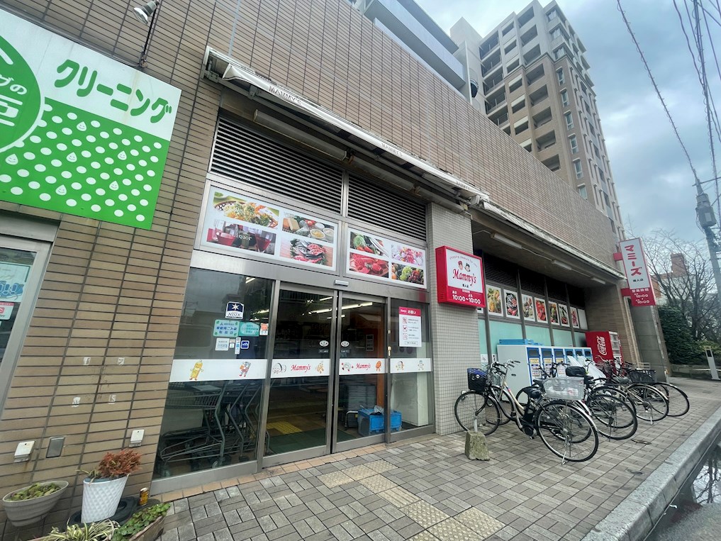 エルモスドームサイド ﾏﾐーｽﾞ 唐人店