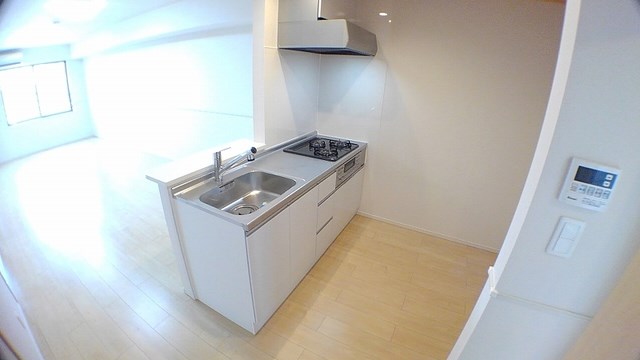 サンローラ・Y 写真は同型別物件