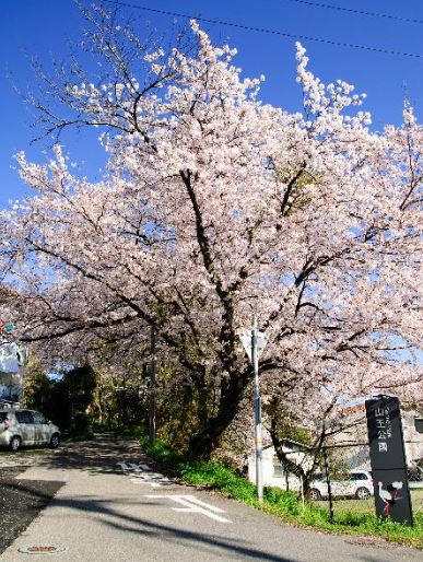 サンシティ博多 山王公園