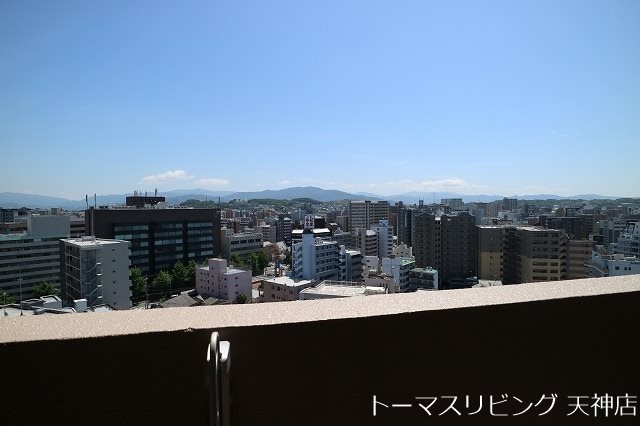 アーバンパレス天神南ハートランドタワー A棟 眺望