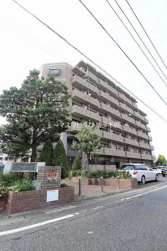外観です。