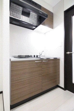 レブリアント大橋南 同型物件参考写真