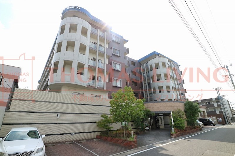 ニューガイア空港通り 外観