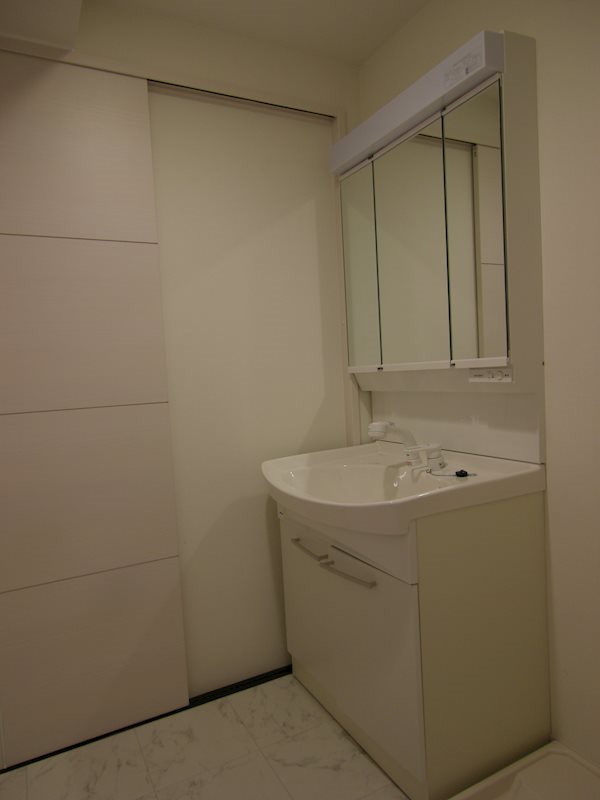 ニューガイア空港通り 洗面所