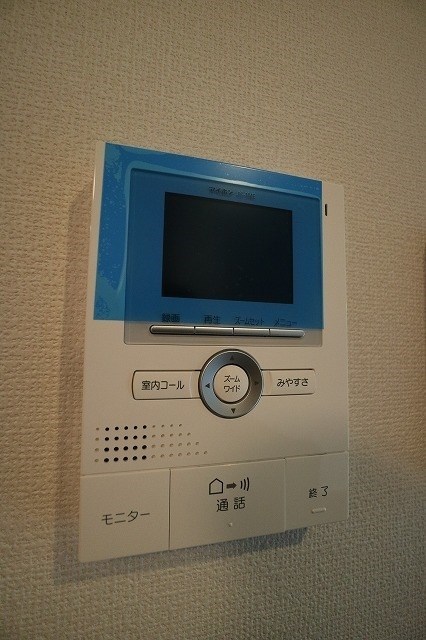 D.セジール ・同系タイプ参考写真