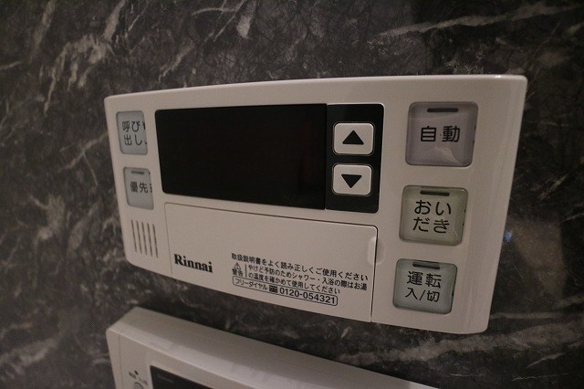 D.セジール ・同系タイプ参考写真
