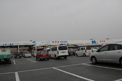 自由ヶ丘6丁目貸家 ﾎｰﾑﾌﾟﾗｻﾞﾅﾌｺ 南宗像店