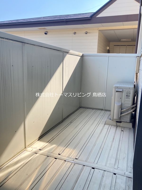 サンベールコガ 参考写真