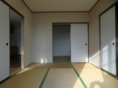 ハイカムールミナト （写真は同型タイプ）