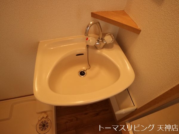 エステート・モア・薬院通り 洗面所