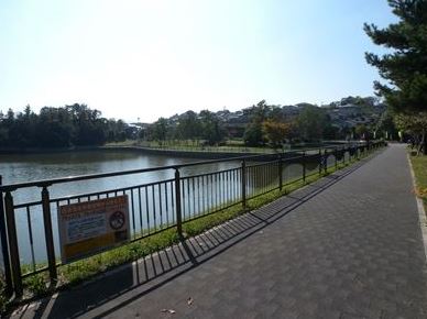 自由ヶ丘ヒルズ桜  自由ケ丘中央公園