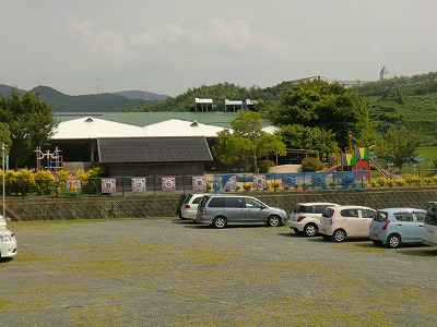 自由ヶ丘ヒルズ桜  野ばら第二保育園
