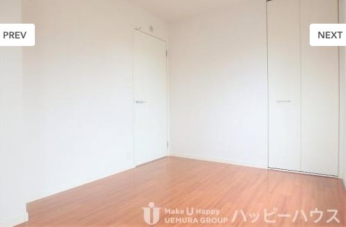 ステラ・ペイリッシュ その他