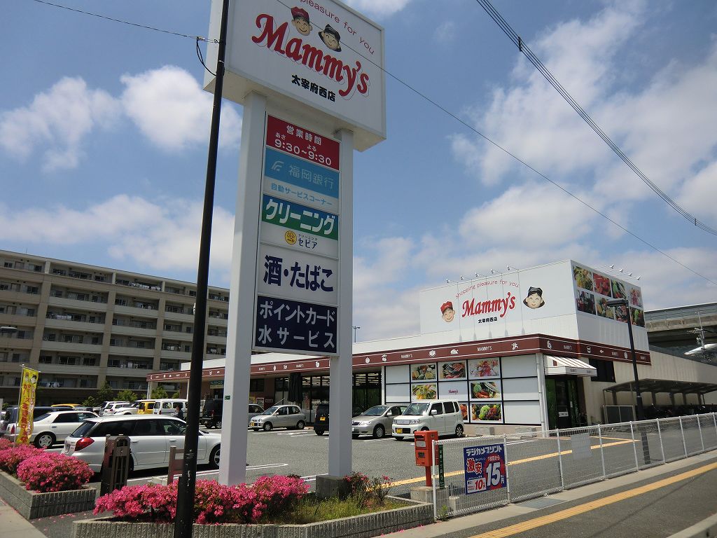 陶山第２ビル マミーズ太宰府店