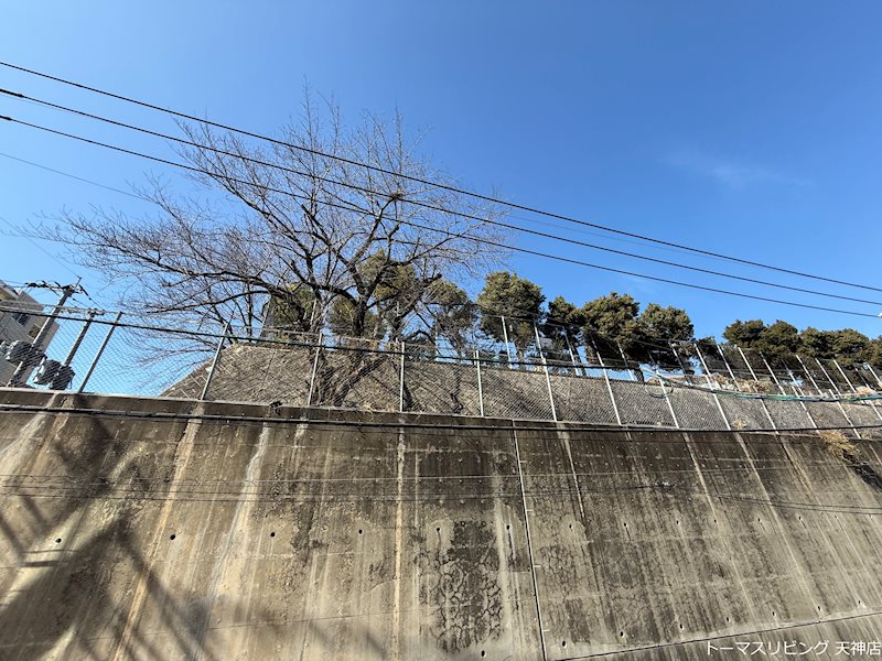 エフパルク高宮Ⅱ その他