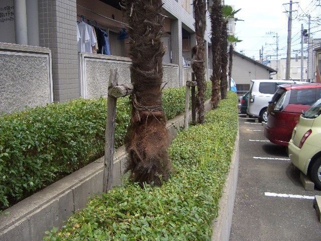 O・C・アパルタメント その他共有部分