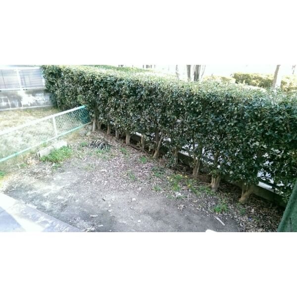 パークハイツ三宅 専用庭