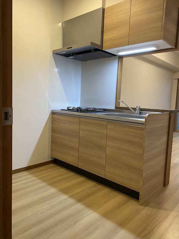 第50川崎ビル キッチン