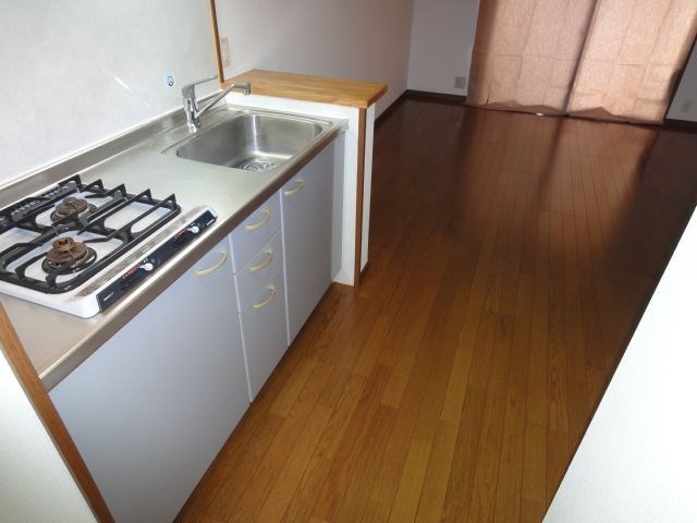 プラージュ大橋 キッチン　※別号室参考写真