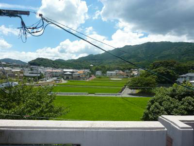輝豊ハイツ  眺望