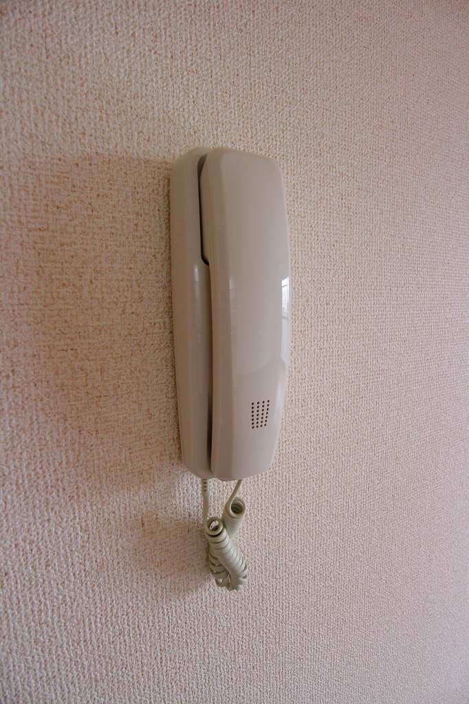 サヴァーブ都府楼 インターホン※別号室参考写真
