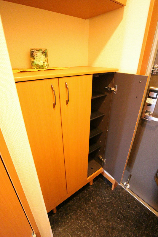 アルビレオB棟  シューズボックス