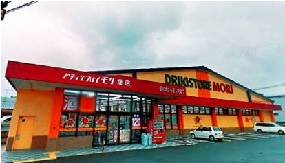 フローラル城南 ドラッグストアモリ　堤店