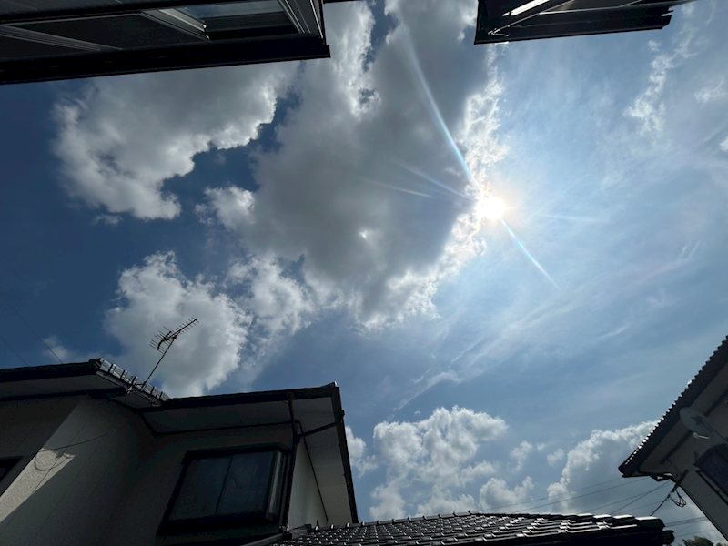 S・T・G その他
