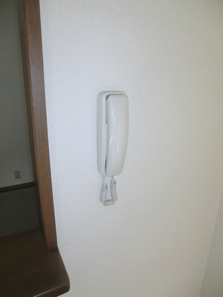 ウェルフェアビレッジ インターホン付きで来客時も安心・別号室参考写真