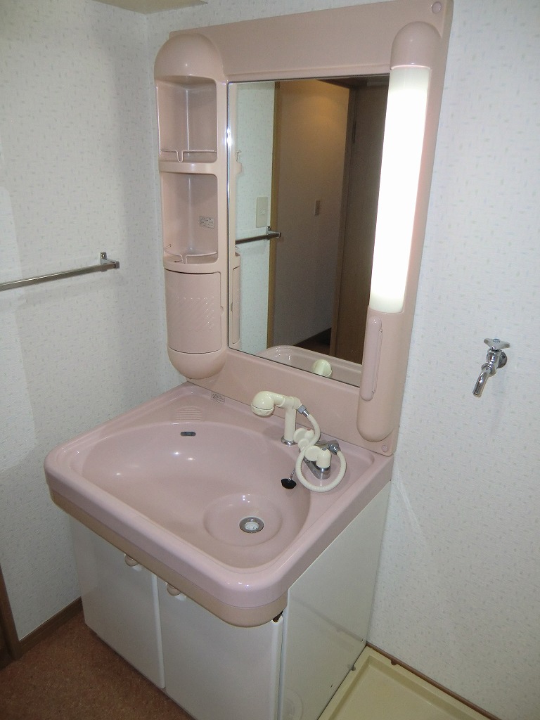 シャトレ壱番館 シャンプードレッサー※別号室の写真になります。