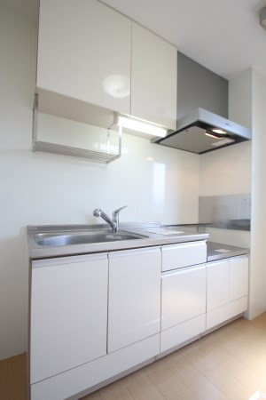 オッツ丸善 写真は別号室です。