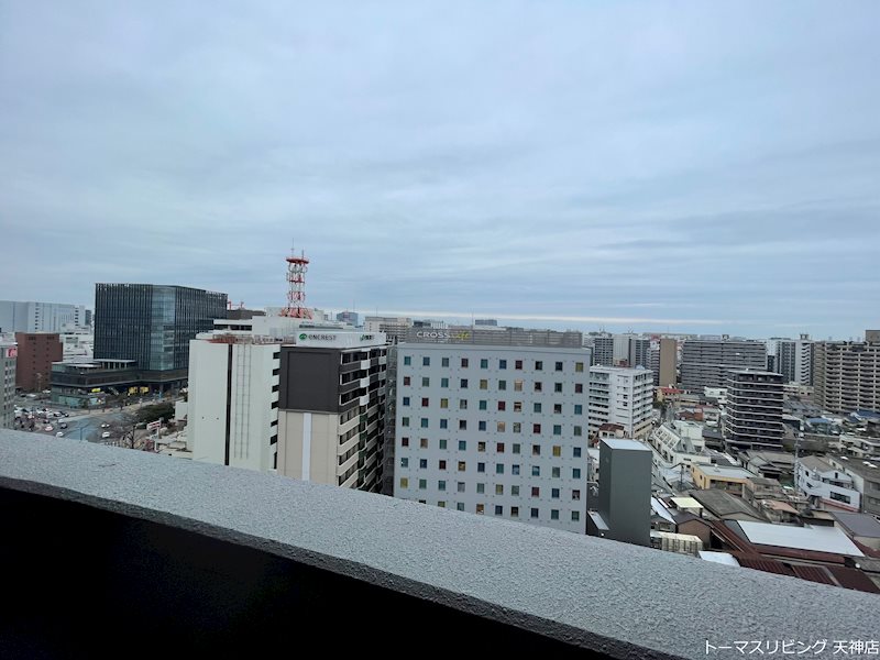 ロイヤルコンフォート渡辺通252 その他