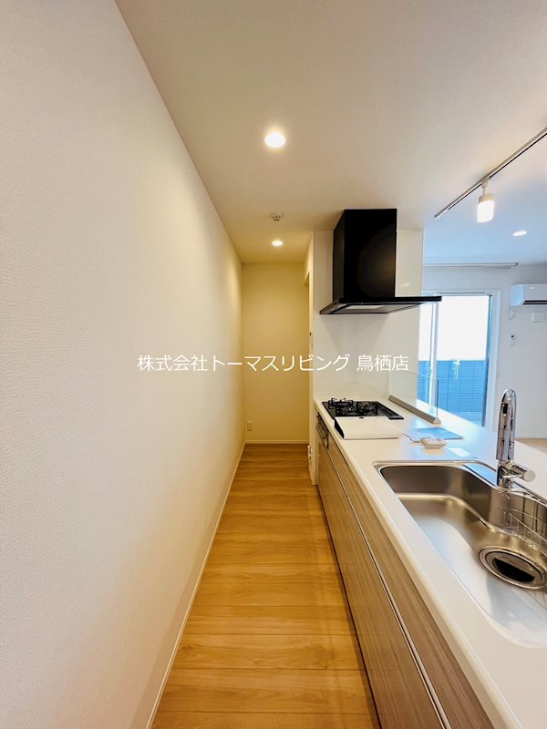 コーディアル その他