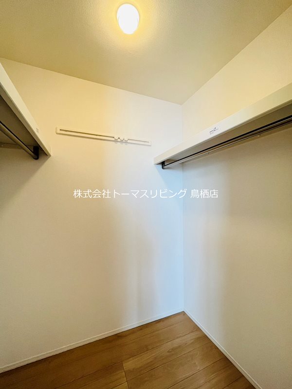 コーディアル その他