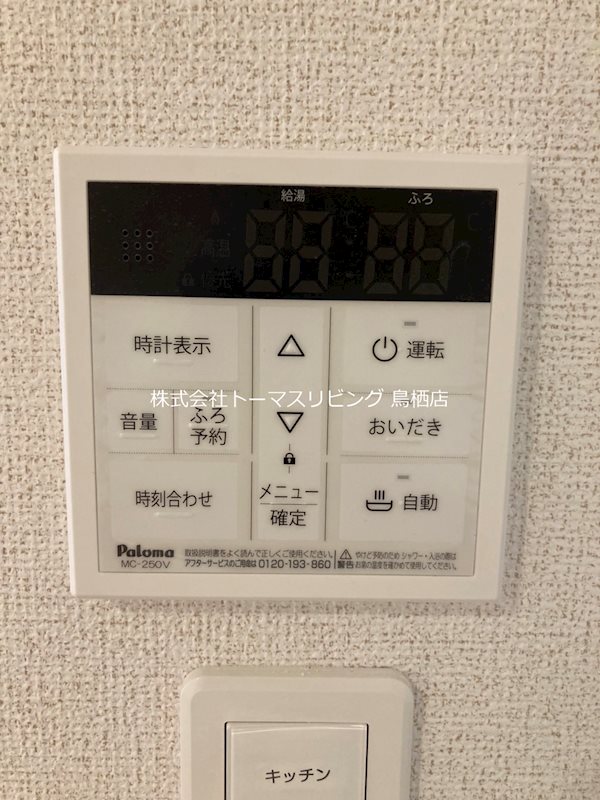 キモクレン 同型写真