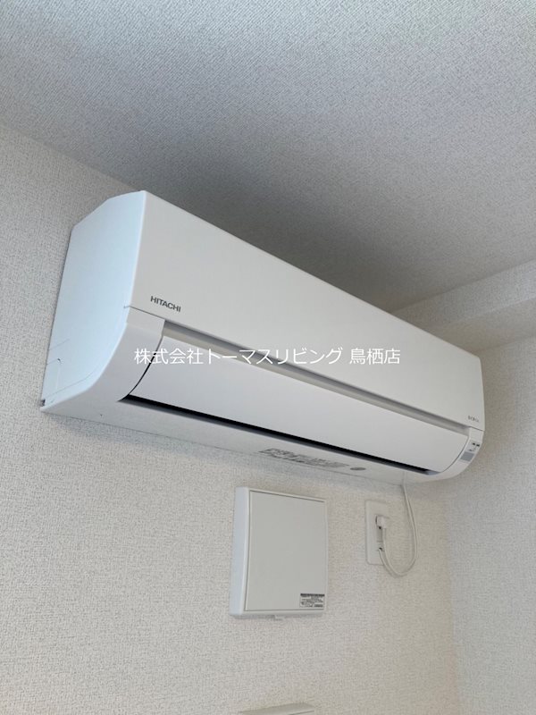 キモクレン 同型写真