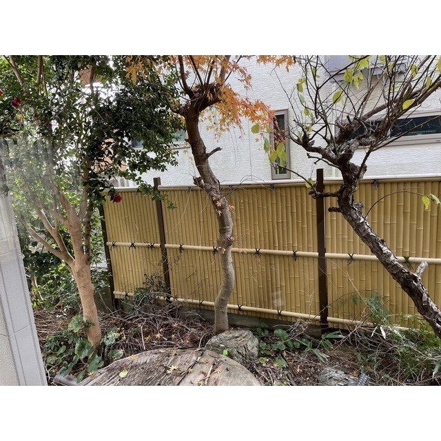 青山2丁目戸建 ベランダ