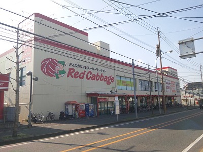 アレズィ七隈 レッドキャベツ 干隈店