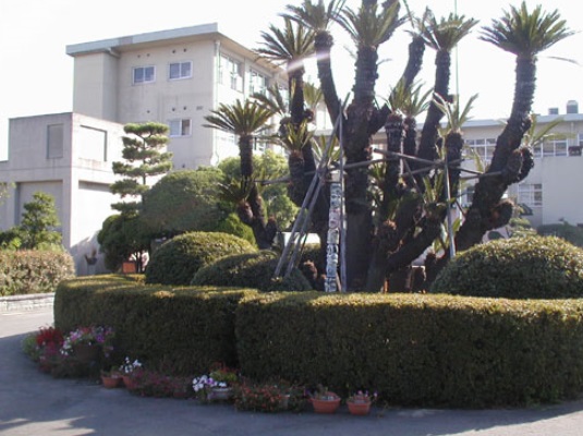 リファレンス箱崎 福岡市立箱崎中学校