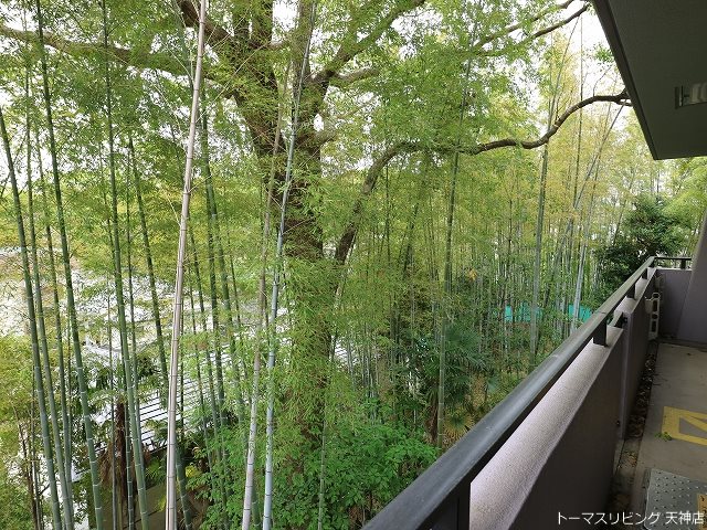 アートウィル赤坂 その他