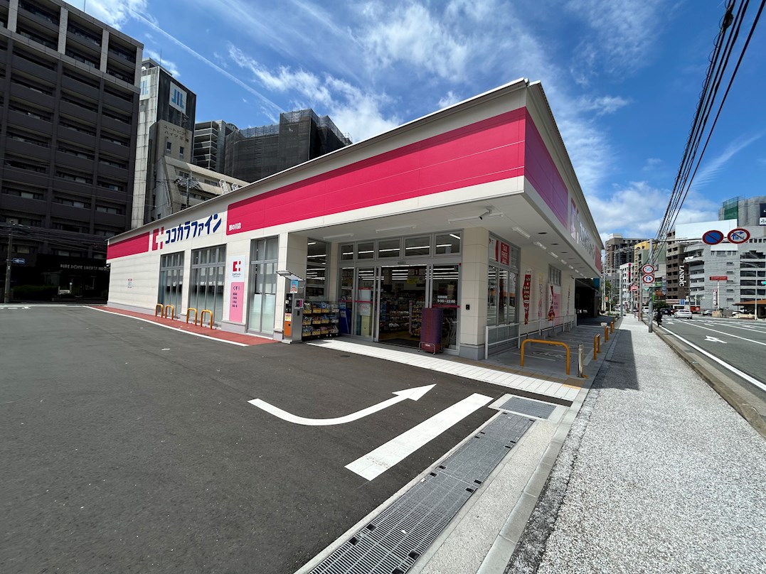 ドミール平尾 ココカラファイン那の川店