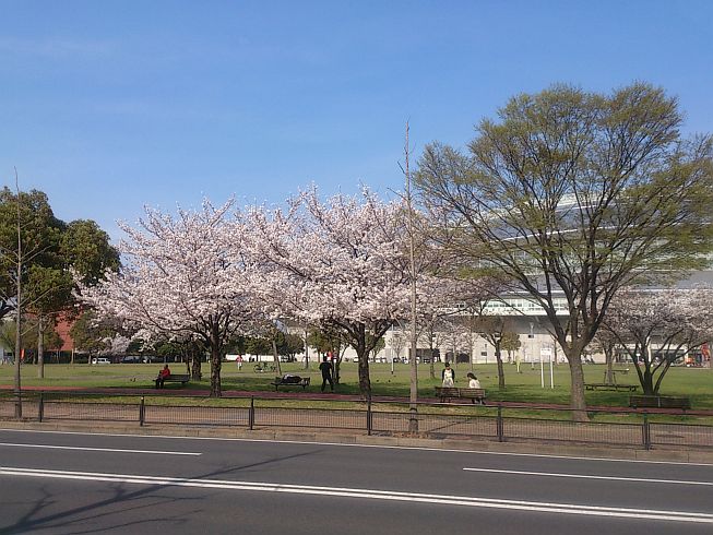 クルーズ・グラン・アリビオ 三萩野公園