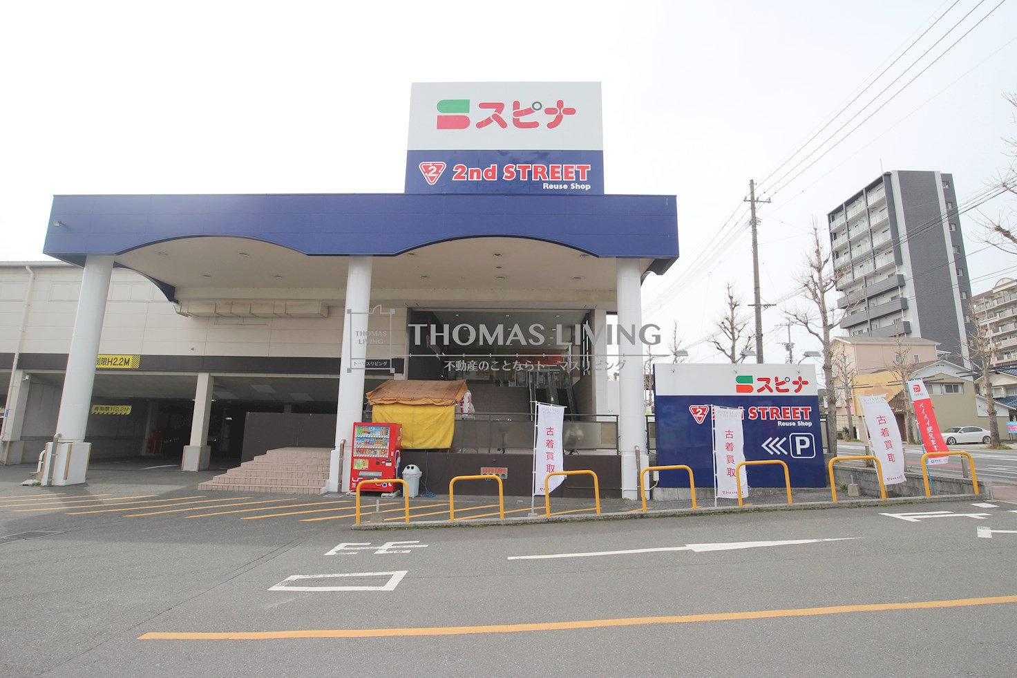 アンテス上到津  SPINA(ｽﾋﾟﾅ) 到津店