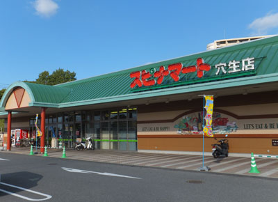 agapanthus 株式会社西鉄ｽﾄｱ ｽﾋﾟﾅﾏｰﾄ穴生店