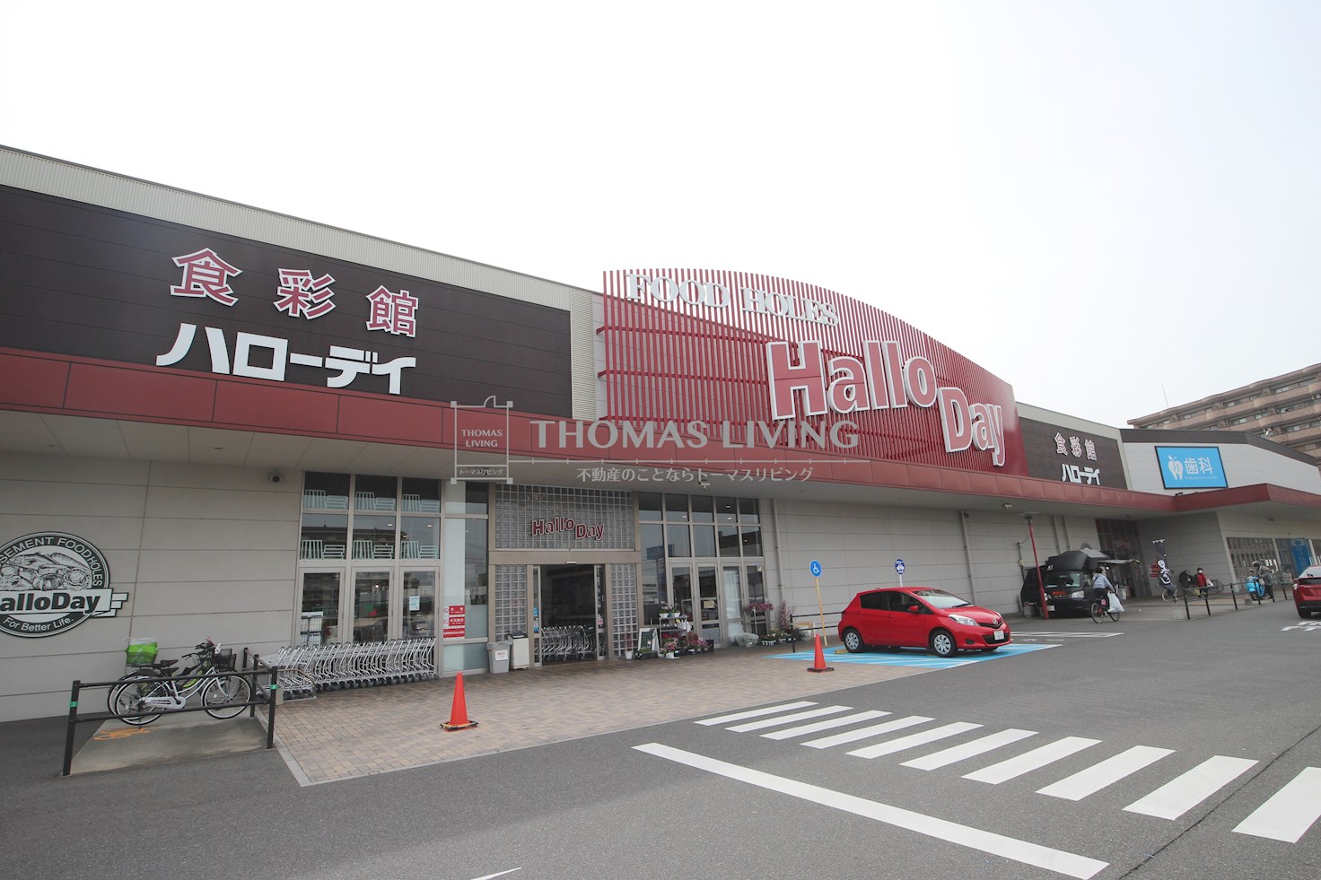 アルゴ境川 HalloDay(ﾊﾛｰﾃﾞｲ) 井堀店