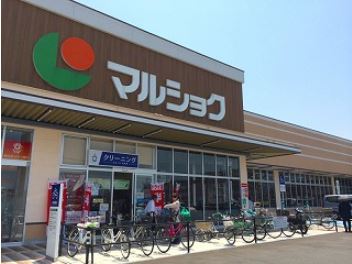 S-COURT ﾏﾙｼｮｸ 曽根店