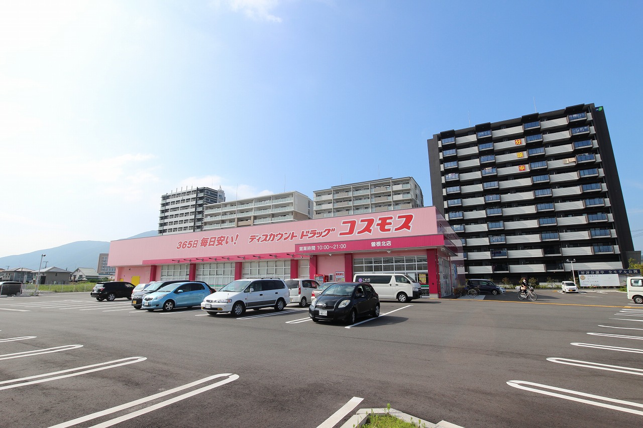 ベルセゾンⅢ ﾃﾞｨｽｶｳﾝﾄﾄﾞﾗｯｸﾞｺｽﾓｽ 曽根北店